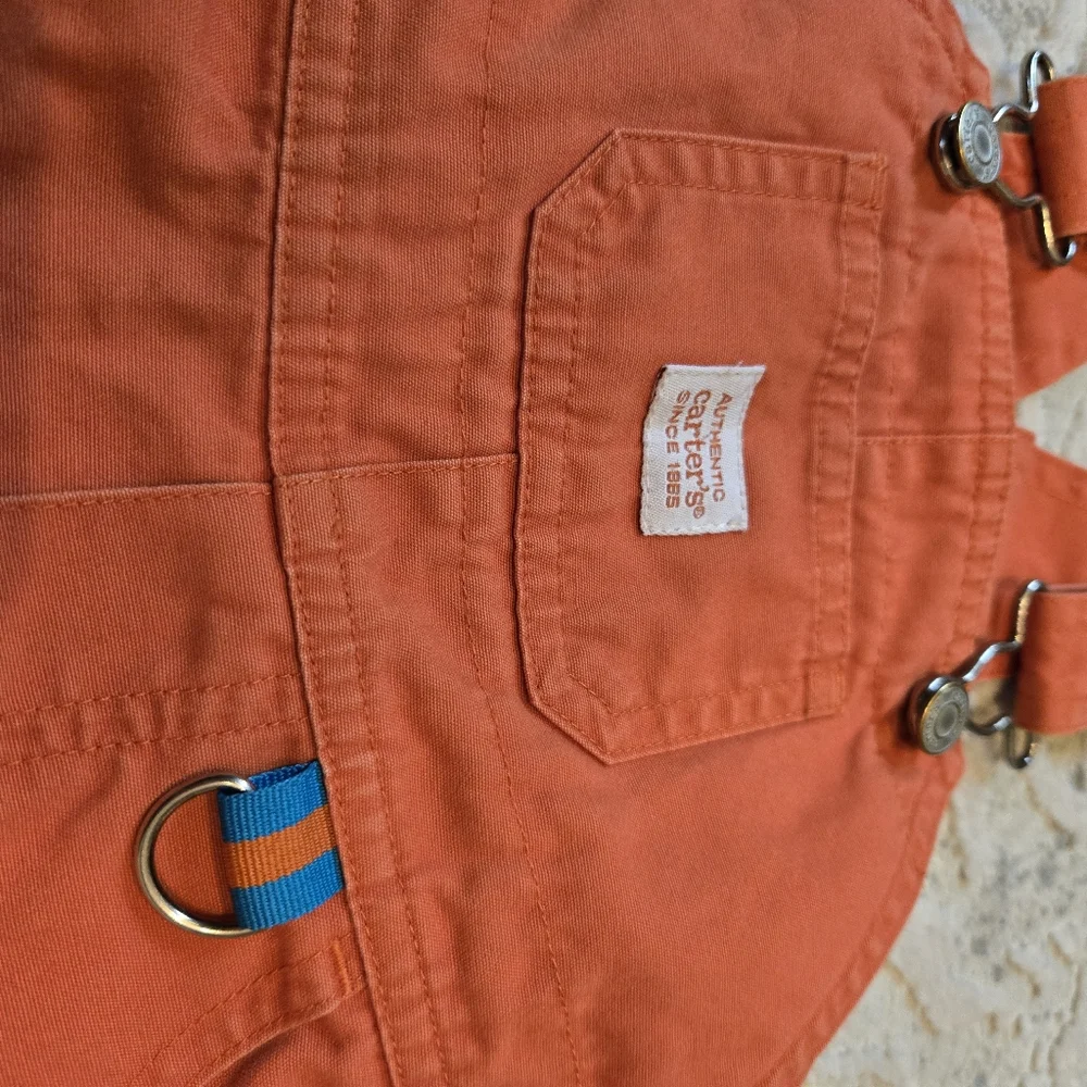 Vintage Y2k OshKosh B'gosh Eric Carle Beetles Orange Overalls Shorts